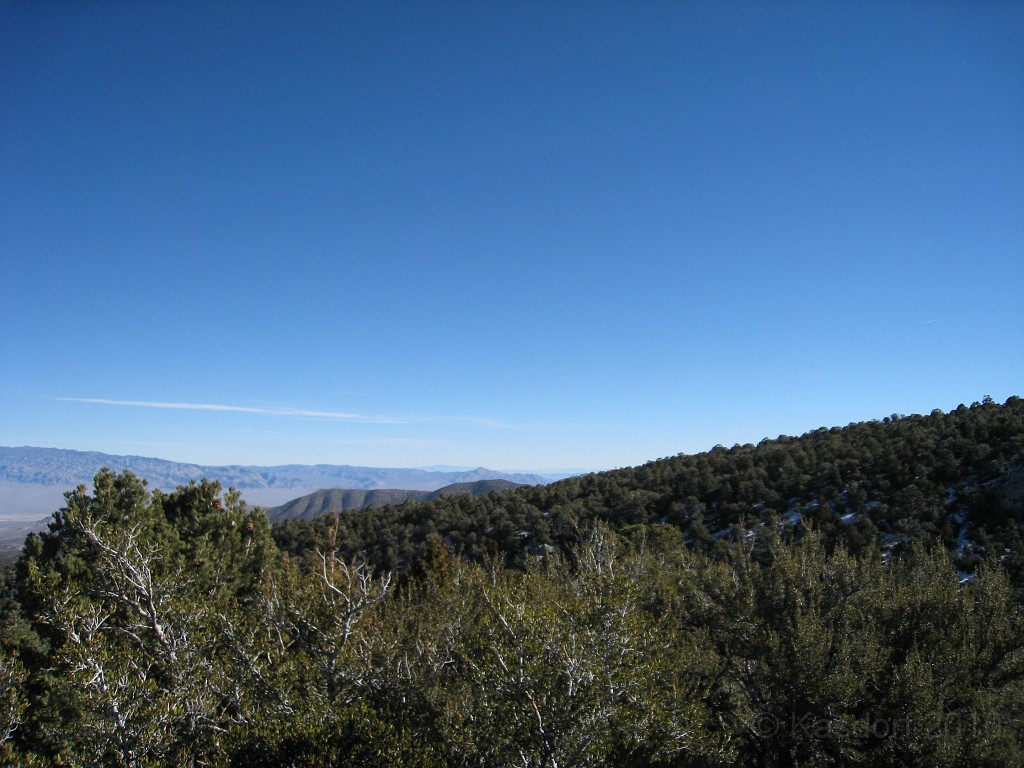 Las Vegas 2010 - Mt Charleston 0301.JPG - The 2010 Las Vegas Fire - Ice and Sweat Tour. Half Marathon, Red Rock Canyon, Casinos, Valley of Fire.... and buffets!